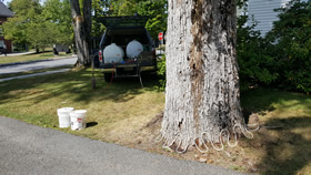 Projects completed by Burman Land and Tree Company | Orrington Maine | Tree Assessment and Consultation, Dutch Elm Disease Specialist and Vegetation Management.